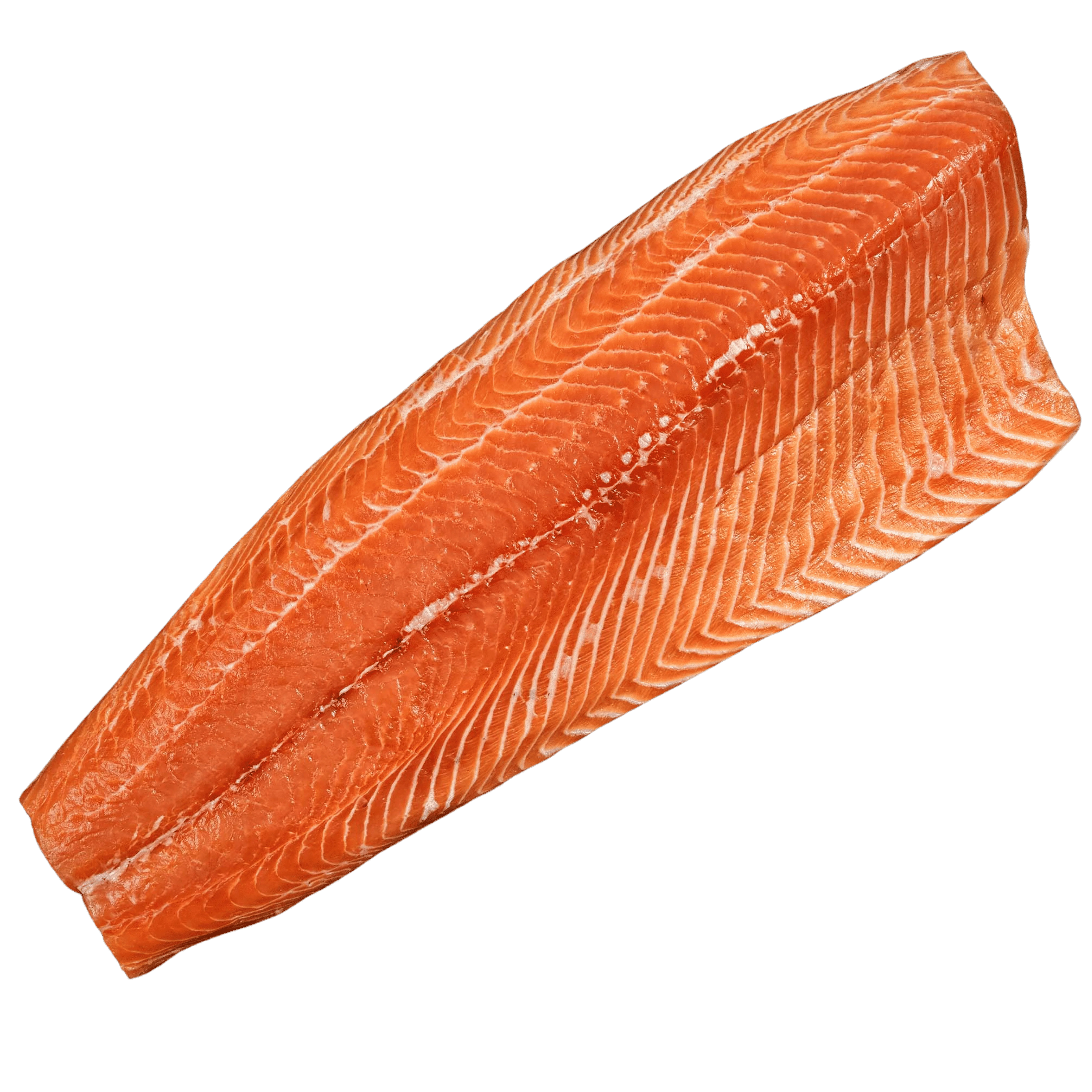 Salmon Filet
